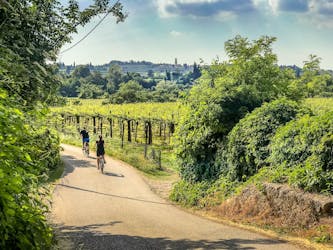 Tour fotográfico en bicicleta por los viñedos de Valpolicella